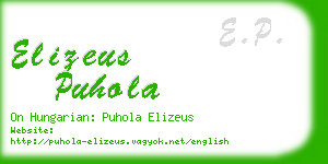 elizeus puhola business card